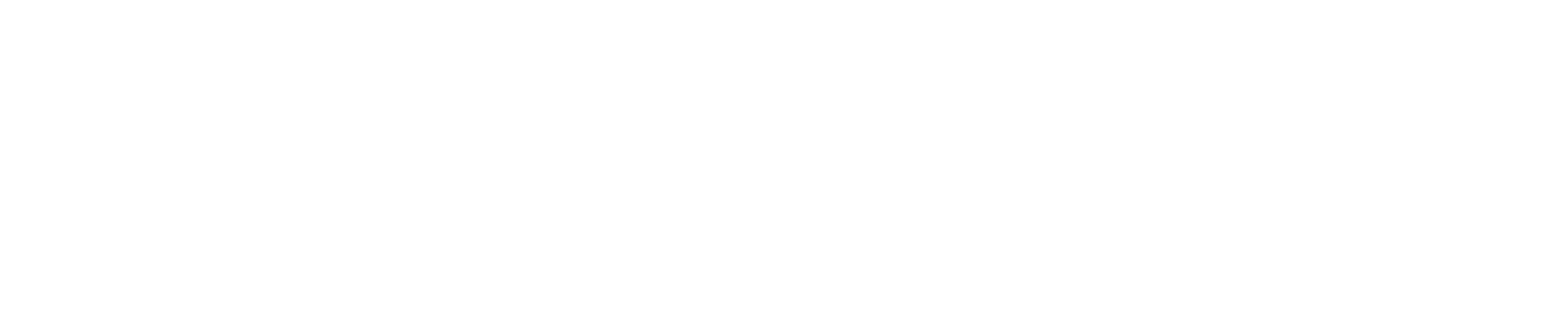 logo van CVO Service Organisatie