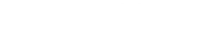 CVO Service Organisatie